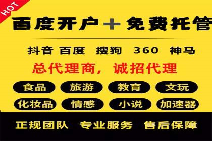 SEM托管服务案例：实现品牌价值最大化